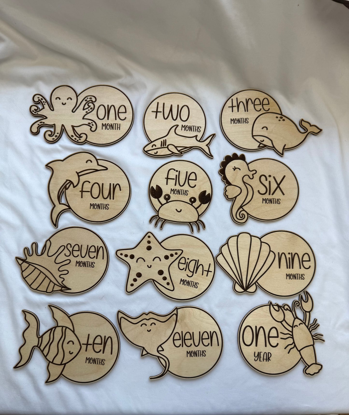 Sea Life Monthly Milestones