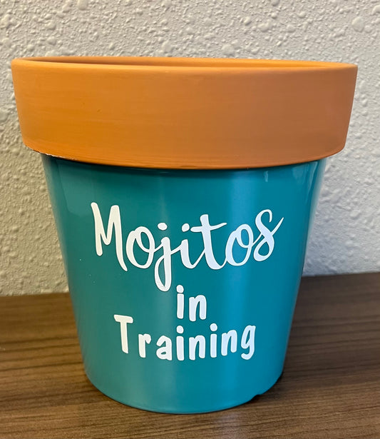 Teal Mojitos Planter
