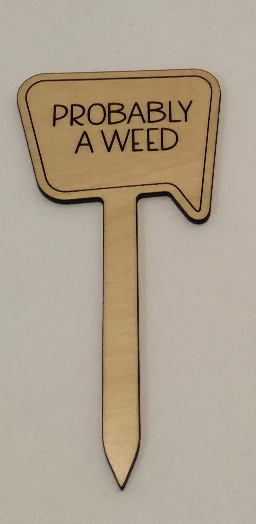 Probably A Weed Plant Stake