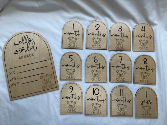 Teddy Bear Monthly Milestones