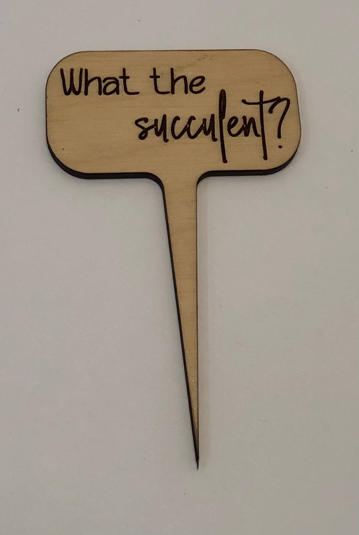 What the Succulent Plant Stake