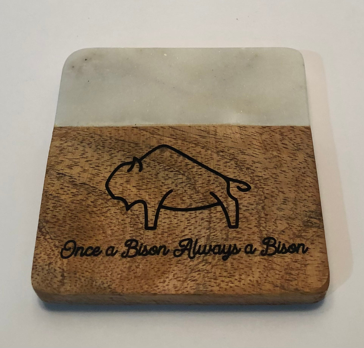 Once a Bison Coaster