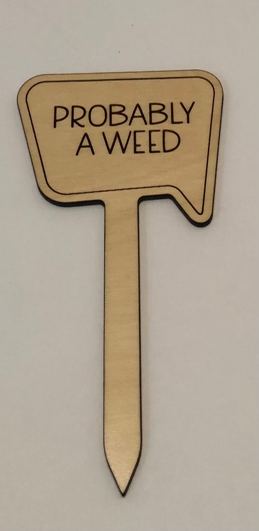 Probably A Weed Plant Stake
