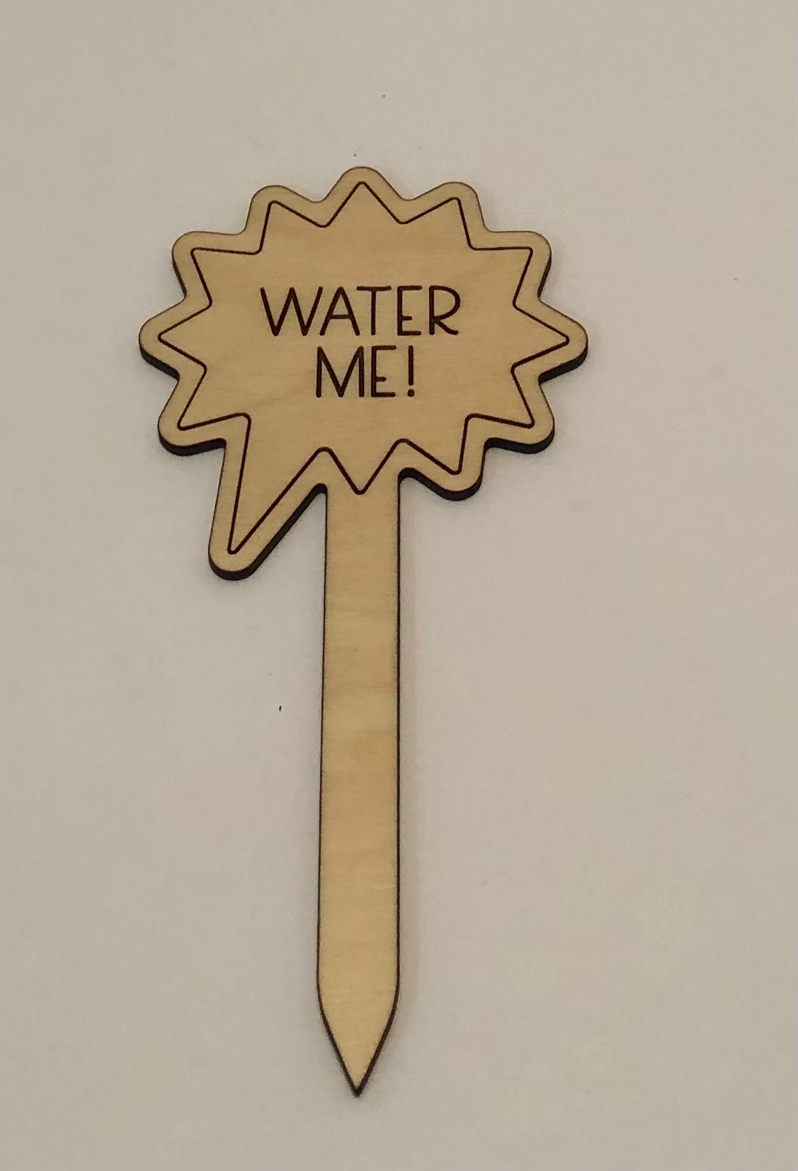 Water Me Plant Stake
