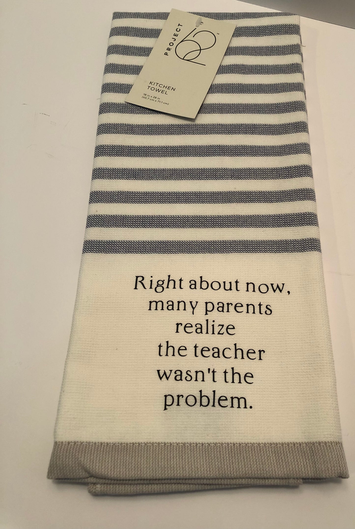 Blue Teacher Dish Towel